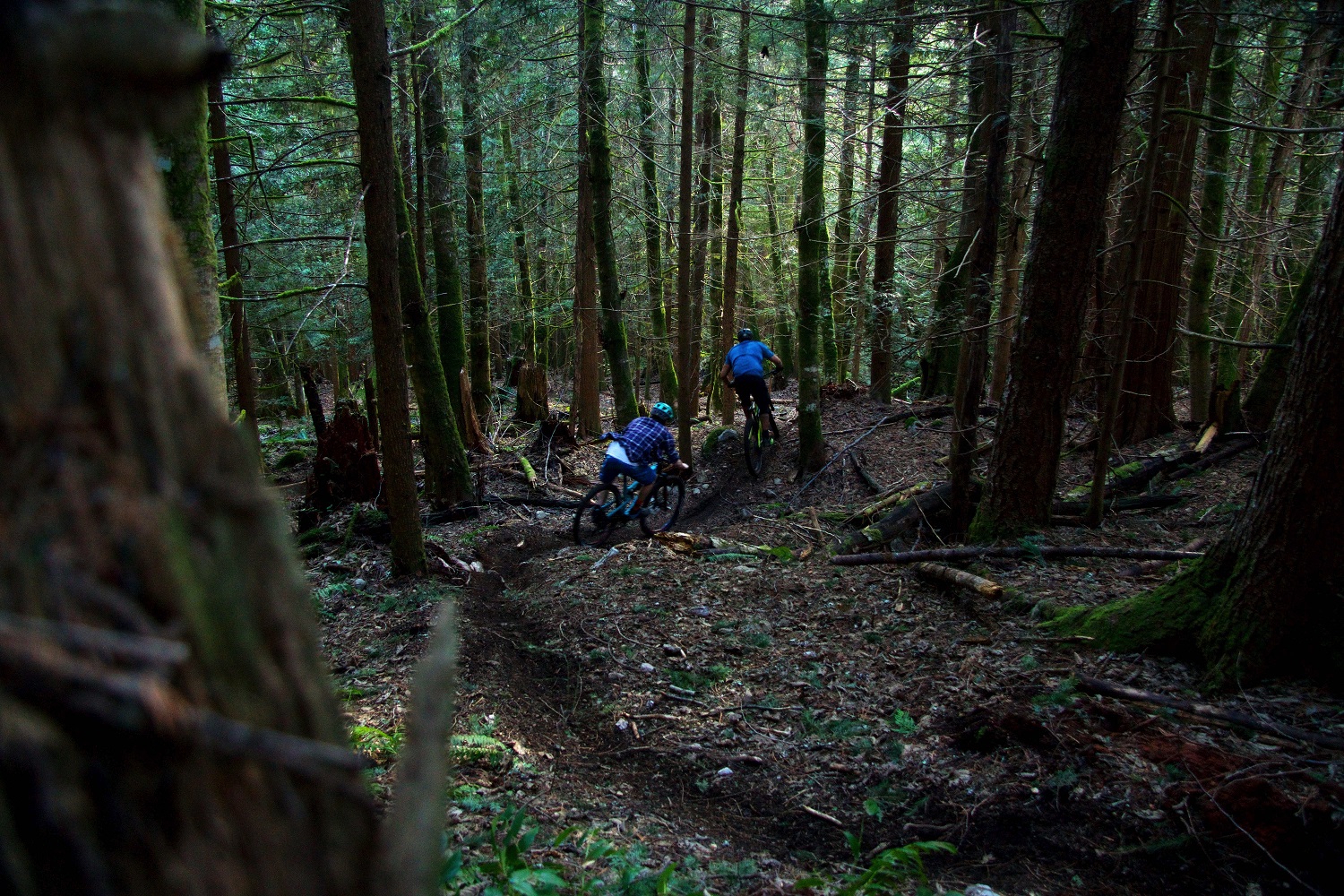 Ride BC Local Mountain Bike Guides Tourism Squamish